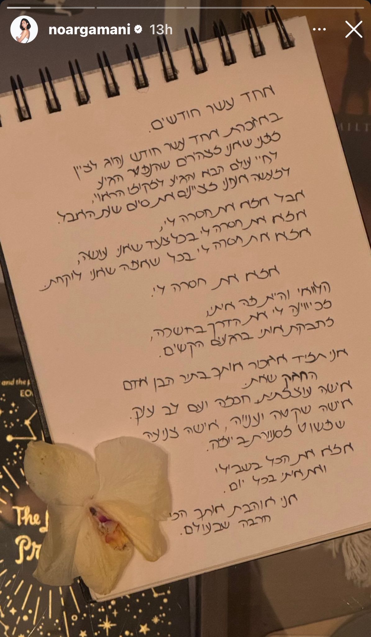 אינסטגרם: @naorgamani